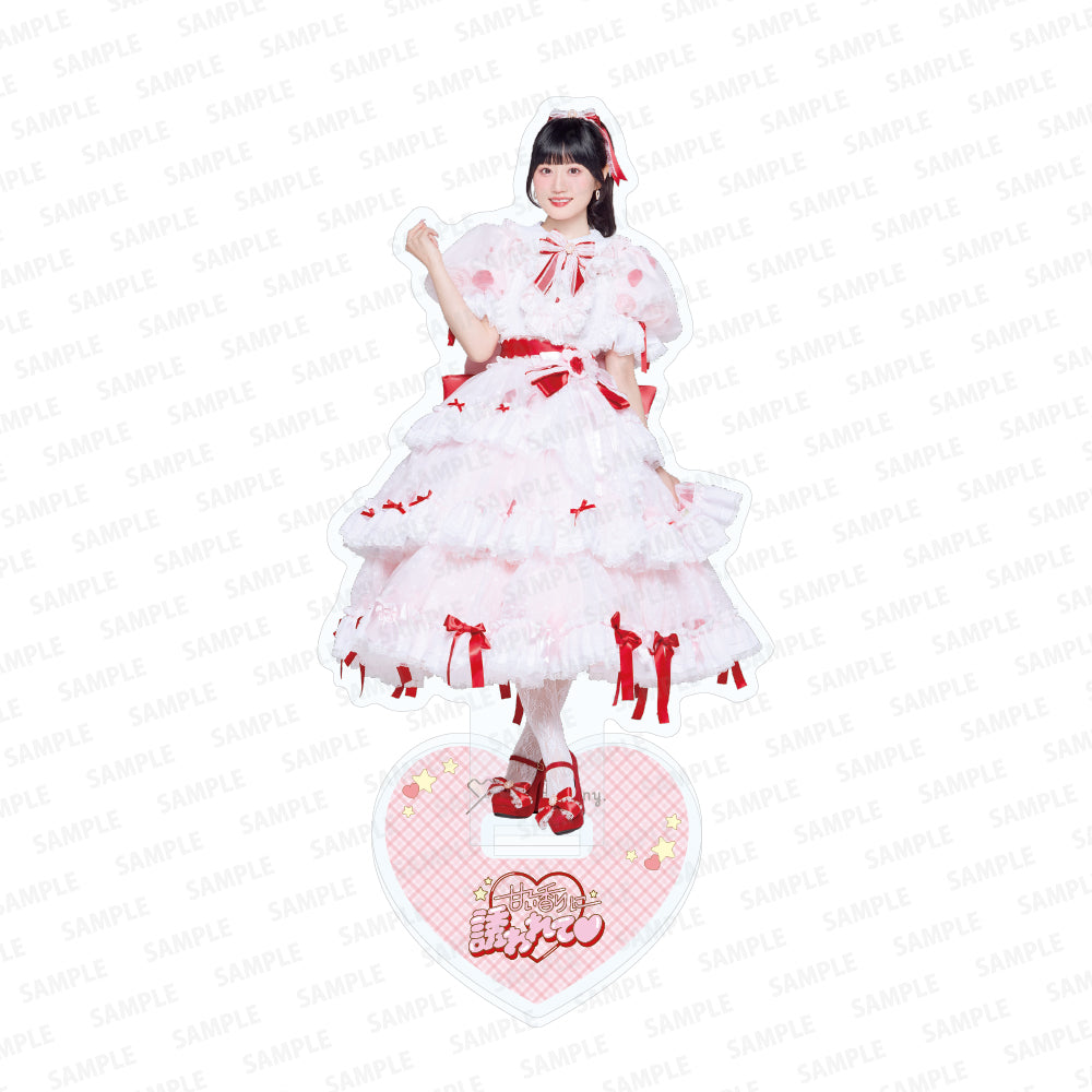 Acrylic Stand Set