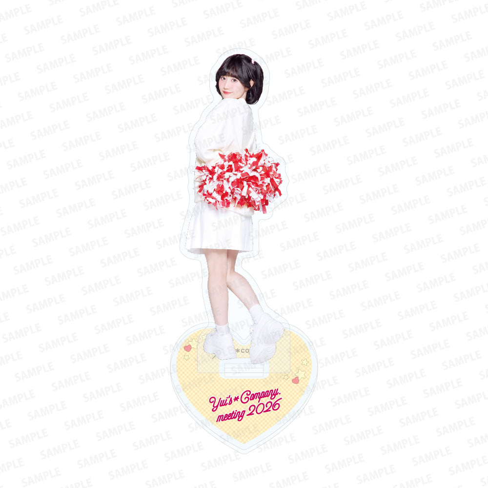 Acrylic Stand Set